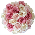 Blush and cream long stem rose bouquet for same-day flower delivery in Miami, NY and nationwide shipping