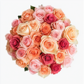 Peach and coral long stem rose bouquet for same-day flower delivery in Miami, New York and nationwide shipping
