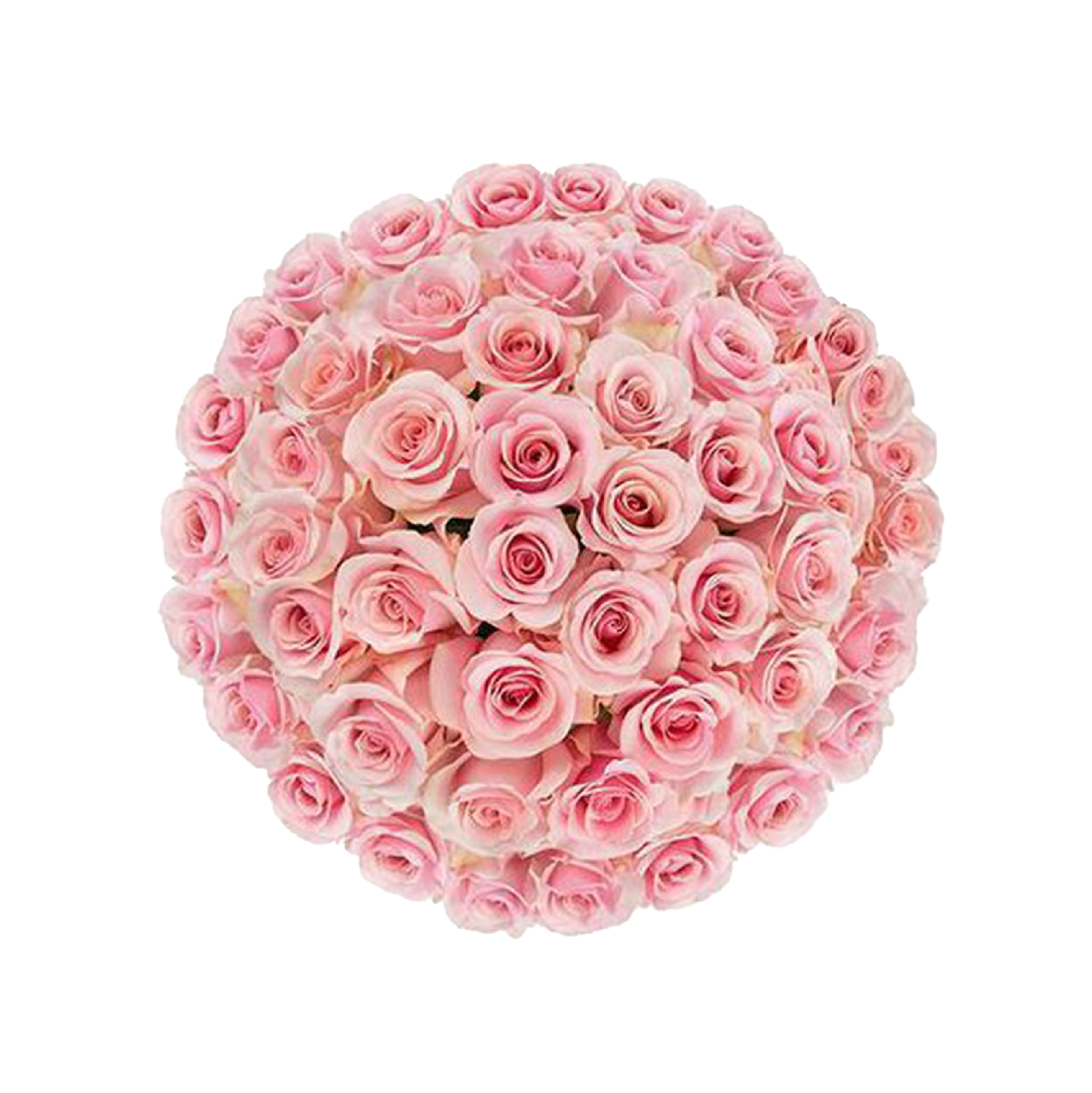 Pink blush long stem rose bouquet for luxury same-day flower delivery and nationwide shipping