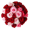 Premium red and blush rose bouquet with long stem roses, luxury flower delivery Miami FL, New York and nationwide shipping